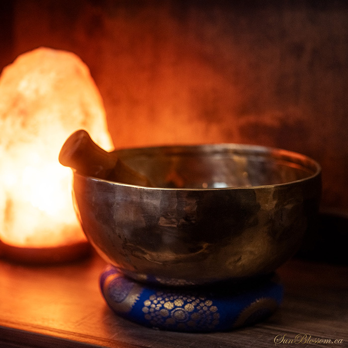 Reiki Healer