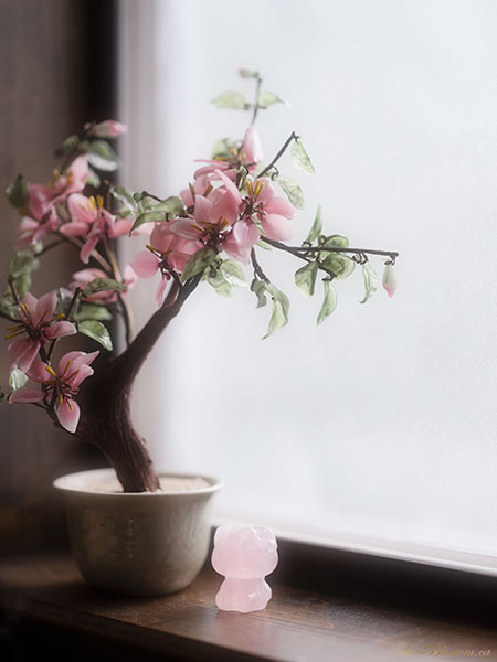SunBlossom